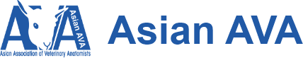 Asian AVA